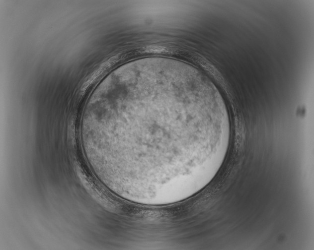 X0000115590482200912011507