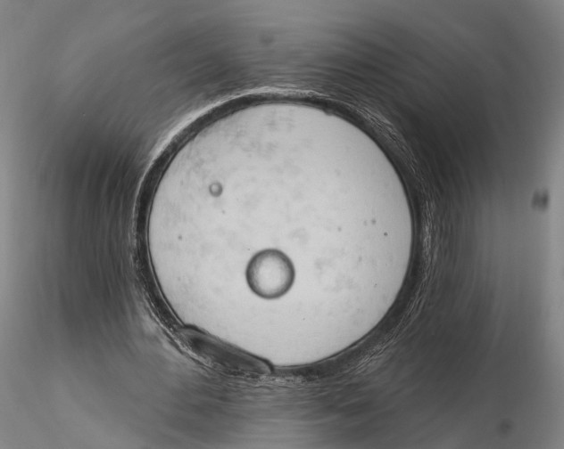 X0000115590484200912011507