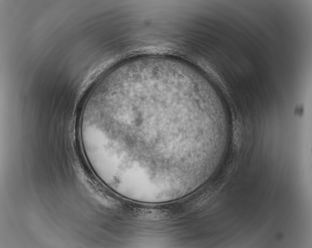 X0000115590486200912011507