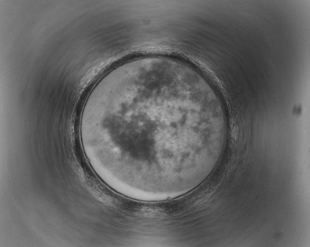 X0000115590487200912011507