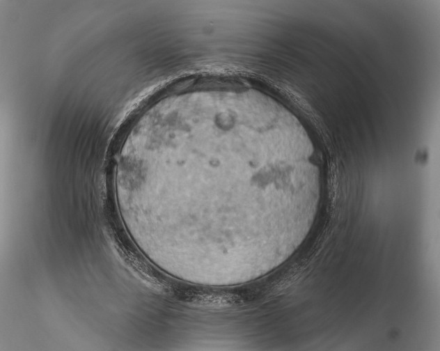 X0000115590488200912011507