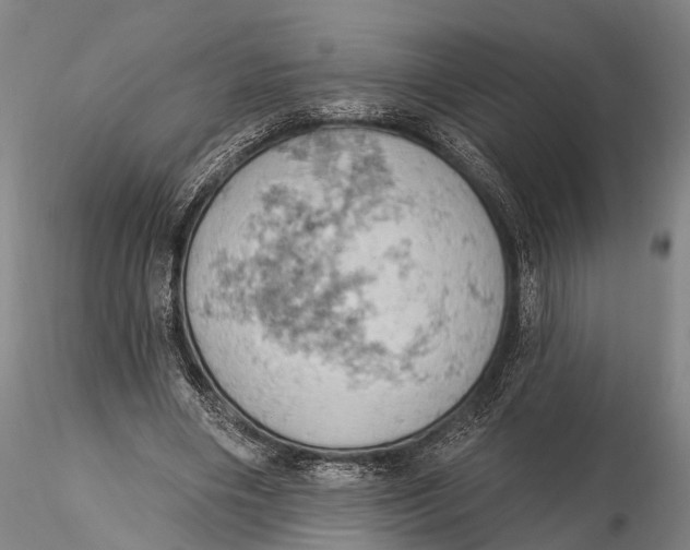 X0000115590490200912011507