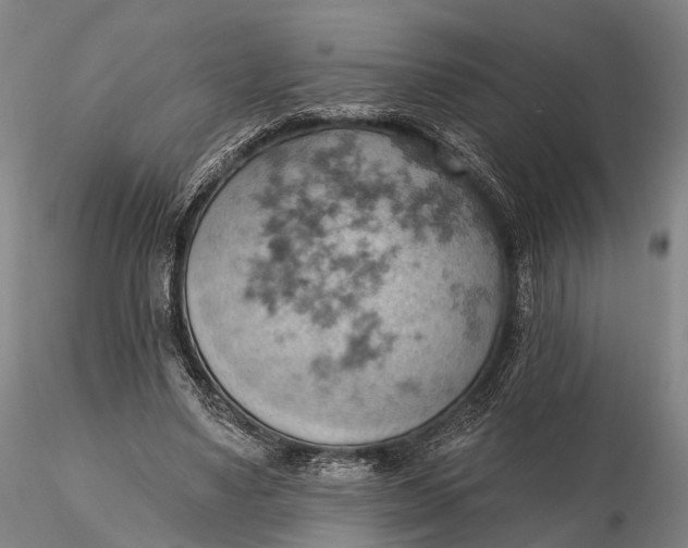 X0000115590491200912011507
