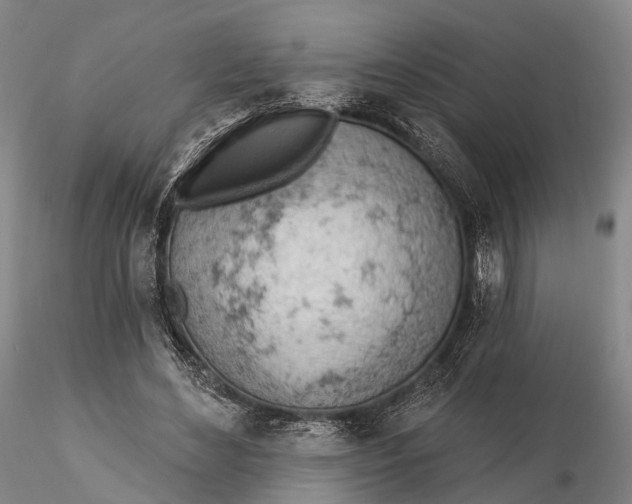 X0000115590492200912011506