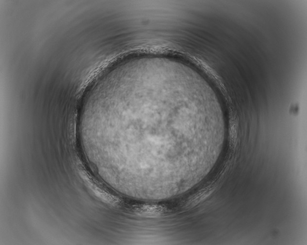 X0000115590493200912011506