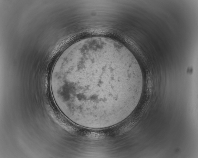 X0000115590494200912011506