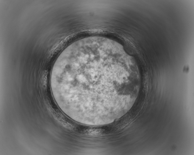 X0000115590495200912011506