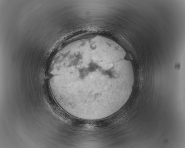 X0000115590496200912011506