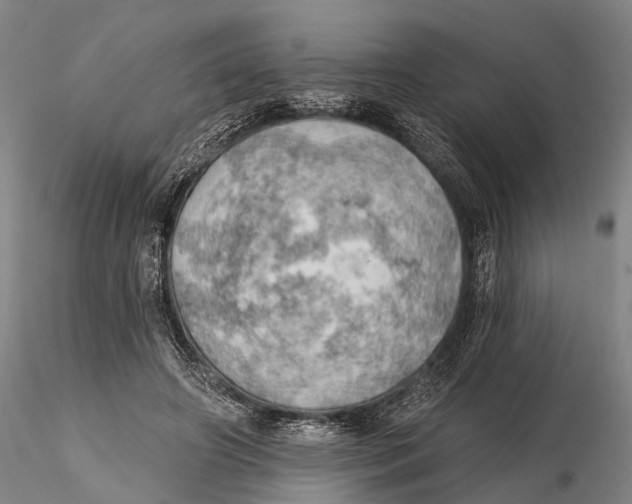 X0000115590498200912011506