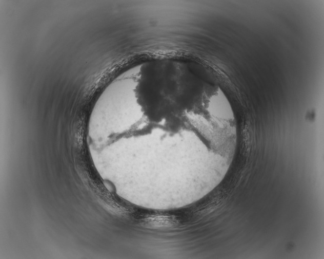 X0000115590499200912011506