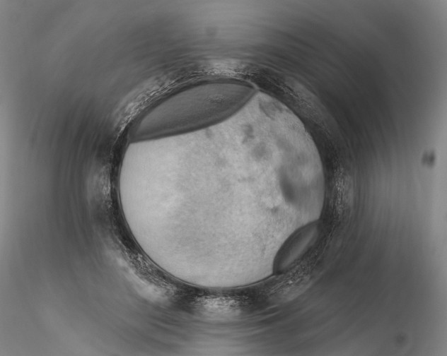X0000115590500200912011506