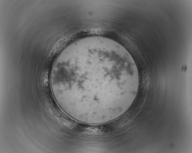 X0000115590502200912011506
