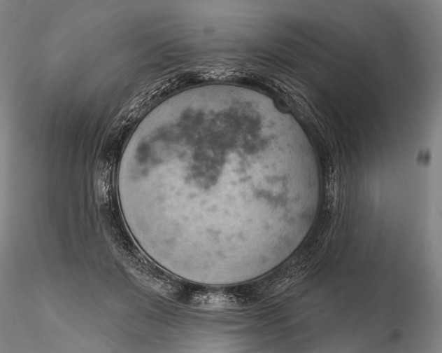 X0000115590503200912011506