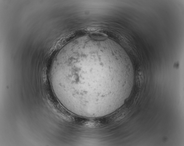 X0000115590504200912011506