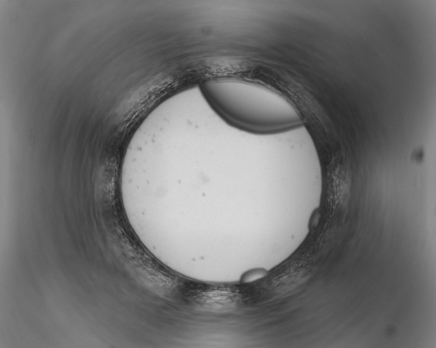 X0000115590505200912011506