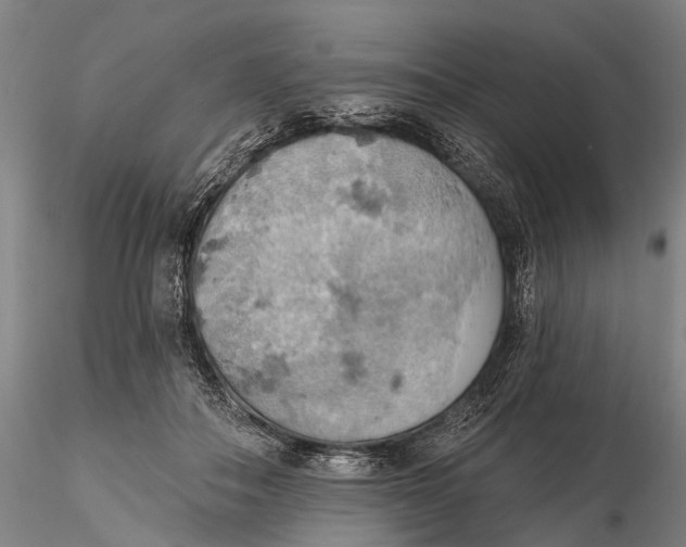 X0000115590506200912011506
