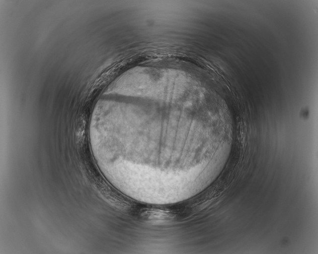 X0000115590507200912011506
