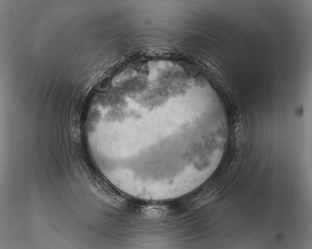X0000115590508200912011506