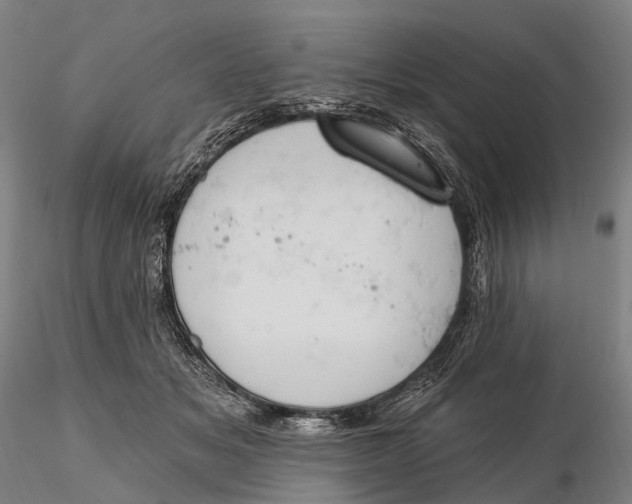 X0000115590509200912011506