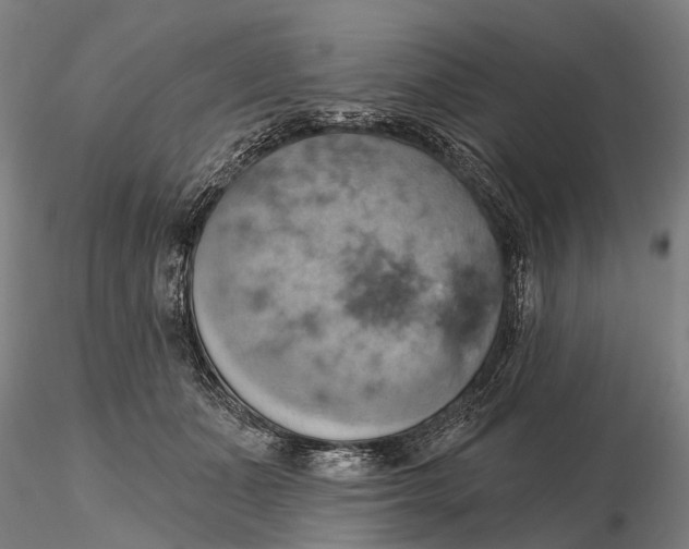 X0000115590511200912011506