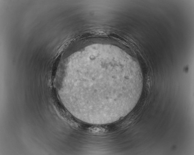 X0000115590512200912011506