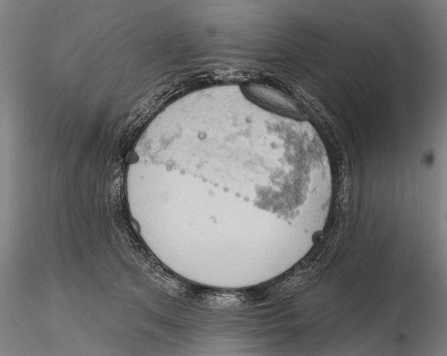 X0000115590513200912011506