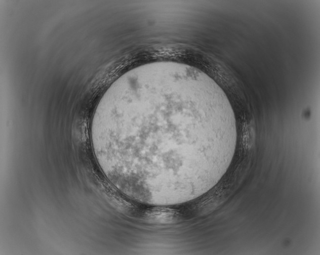 X0000115590514200912011506