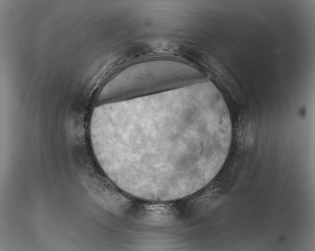 X0000115590516200912011506
