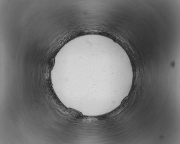 X0000115590517200912011506