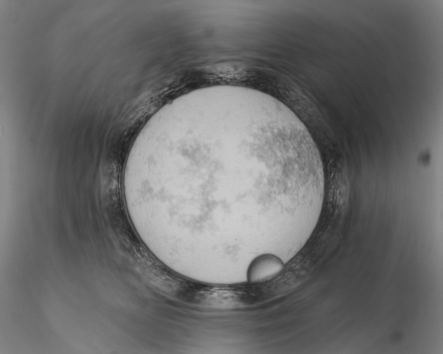 X0000115590518200912011506