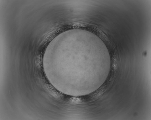 X0000115590519200912011506