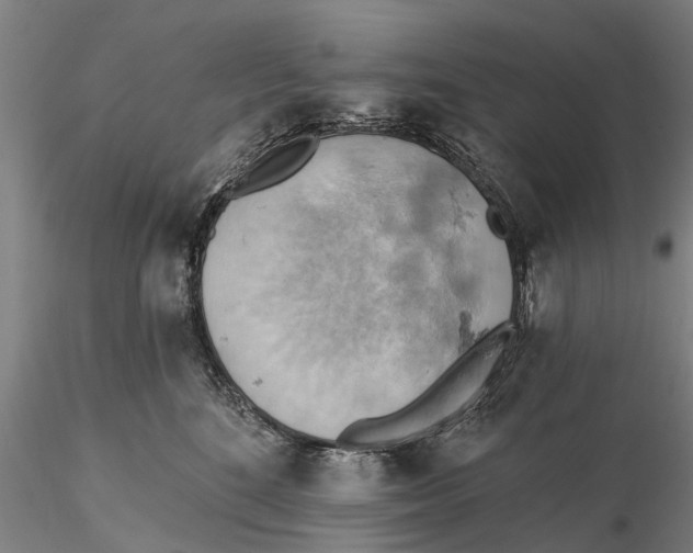 X0000115590520200912011506
