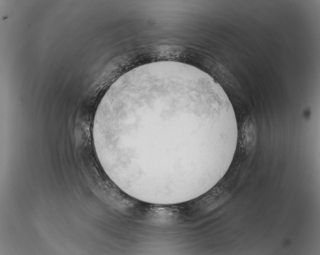 X0000115590522200912011506