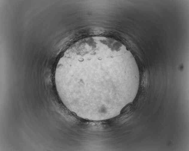 X0000115590524200912011506