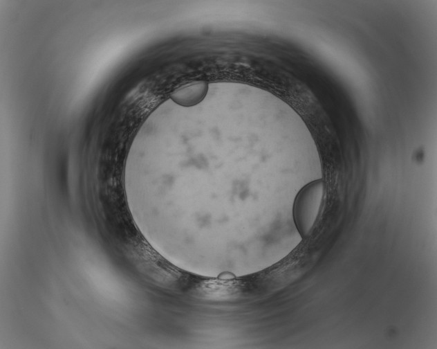 X0000115590526200912011506