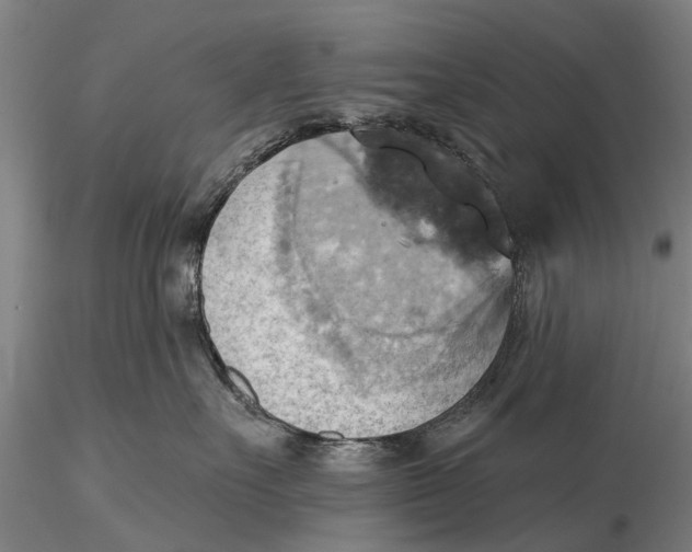 X0000115590527200912011506