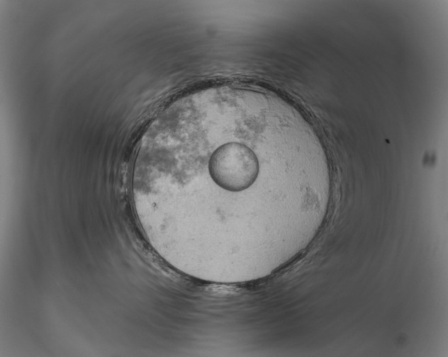 X0000115590528200912011506