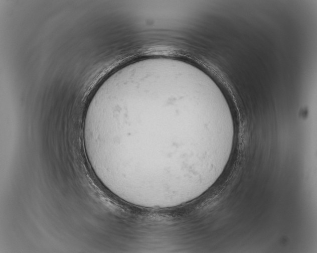 X0000115590529200912011505
