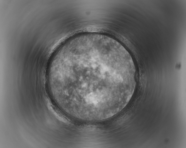 X0000115590530200912011505