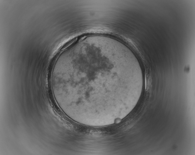 X0000115590531200912011505