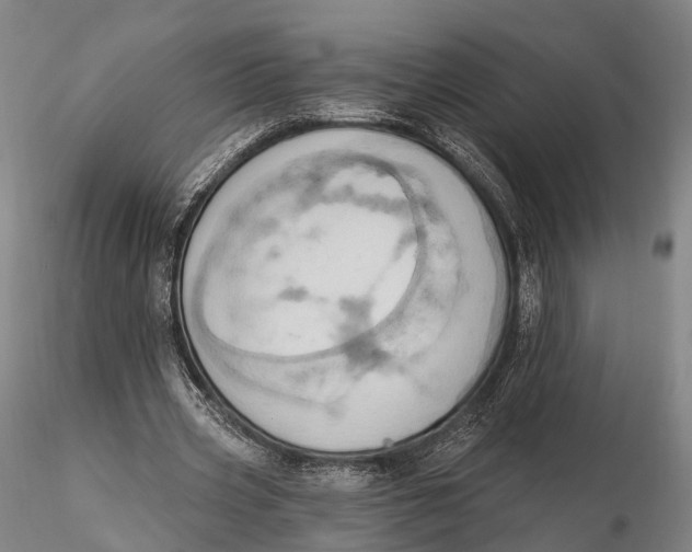 X0000115590533200912011505