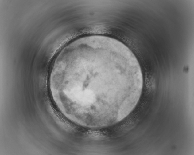 X0000115590534200912011505