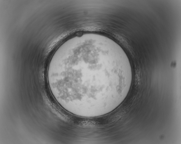 X0000115590535200912011505