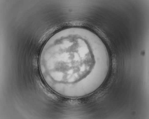 X0000115590537200912011505