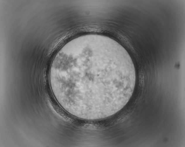 X0000115590538200912011505