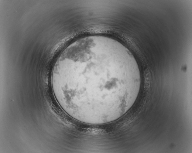 X0000115590539200912011505