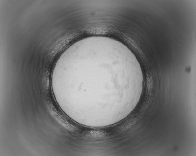 X0000115590541200912011505