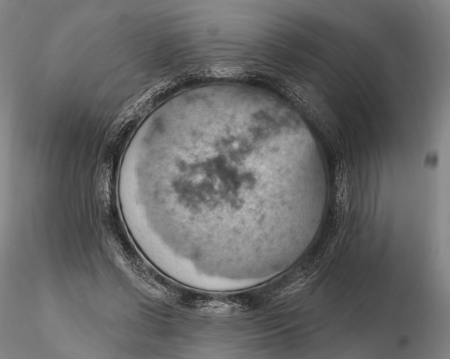 X0000115590542200912011506