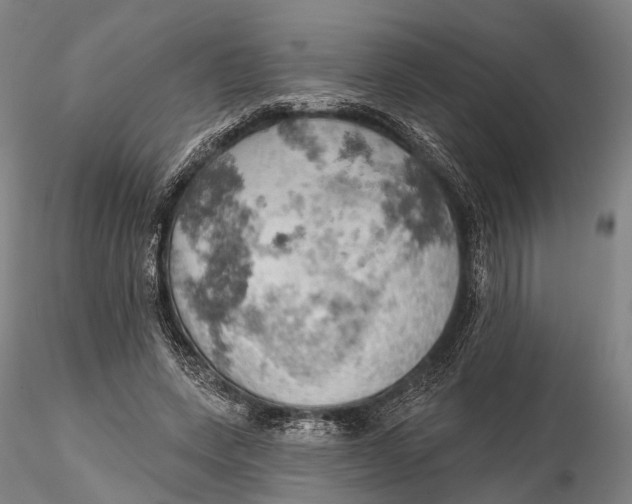 X0000115590543200912011506