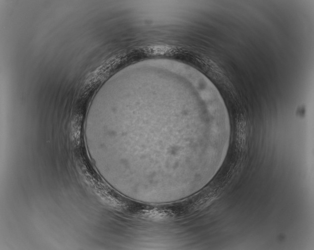 X0000115590545200912011506